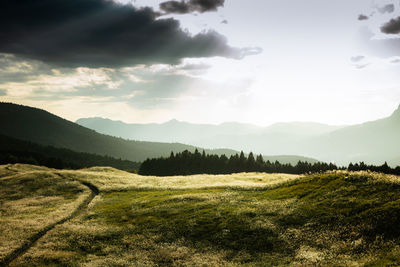 Scenic view of landscape against sky