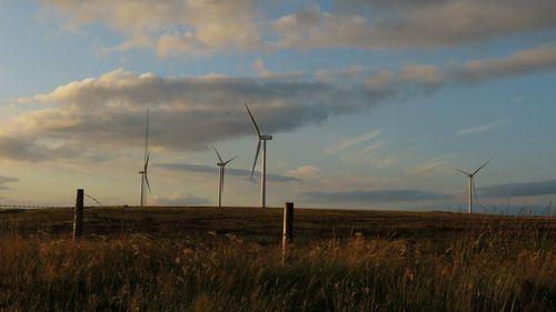 Windmills on field against sky