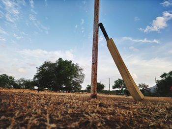 Low angle view of trees on field against sky