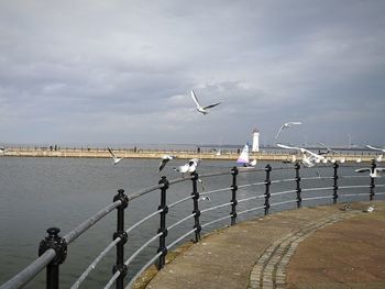 Seagulls flying over sea against sky