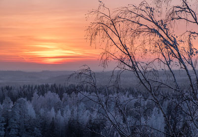 Silhouette bare tree by  against sky during sunset in winter evening