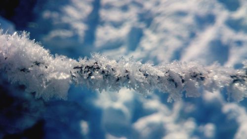 Close-up of snow on landscape against sky