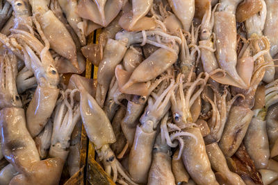 Full frame shot of fish for sale in market