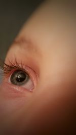 Close-up of woman eye