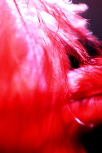 Close-up of young woman