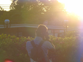 Sun shining through trees