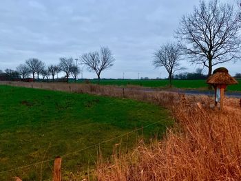 Scenic view of field against sky