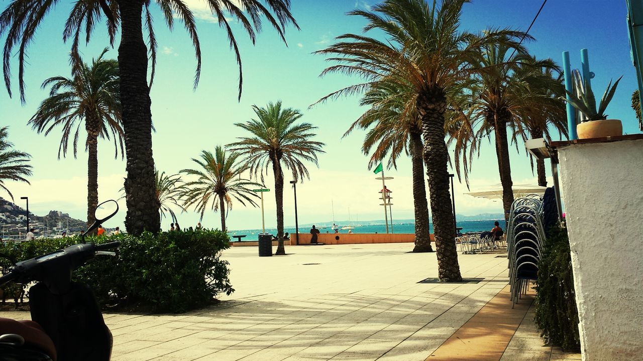 palm tree, sea, beach, horizon over water, tree, water, sand, shore, tourist resort, clear sky, tranquility, tranquil scene, vacations, growth, scenics, sunlight, nature, beauty in nature, built structure, lounge chair