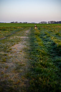 People in a field