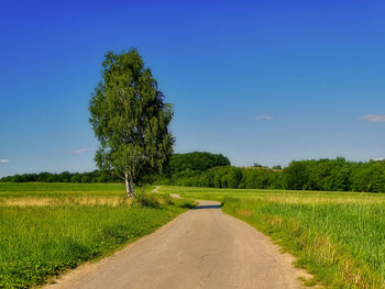 Road amidst trees on field against sky