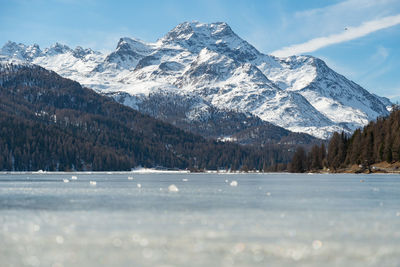 Silvaplana, switzerland, feb 21, 2023 panorama at the lake of silvaplana and the mount corvatsch 