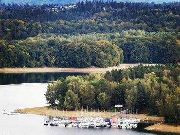 Scenic view of lake in forest