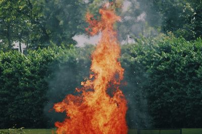 View of fire in dark