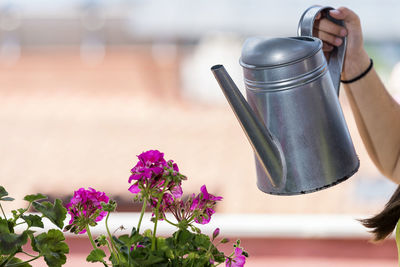 Close-up of flower on table