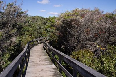 Walkway leading to footbridge