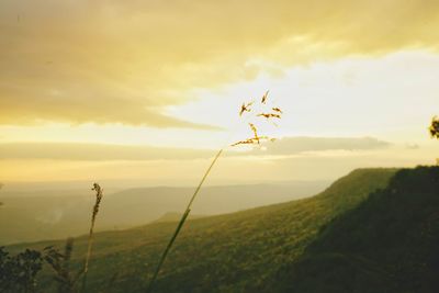 Scenic view of field against sky during sunset