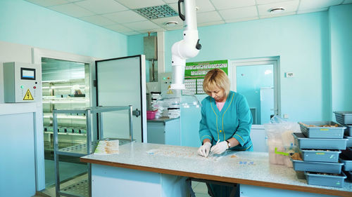 Lab worker studying, examines sprouted, rooted corn seeds, in laboratory. science laboratory