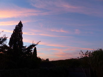 Silhouette trees against sky during sunset