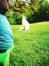 Rear view of woman with dog sitting on grass