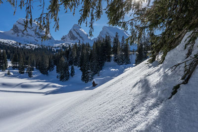 Scenic view of snow covered mountains against sky