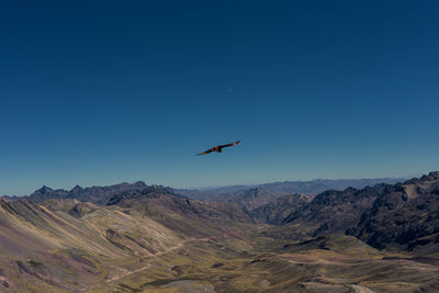 Bird flying over mountains against clear blue sky