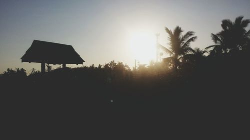 Sun shining through trees