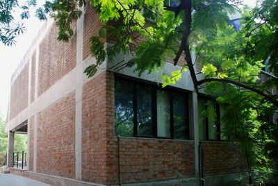 Low angle view of trees and building