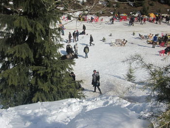 High angle view of people in snow