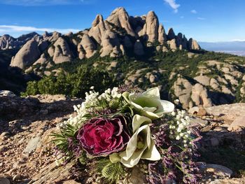 Scenic view of rocks by mountains against sky