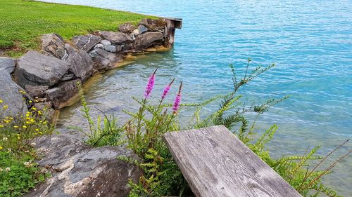 High angle view of wood by lake