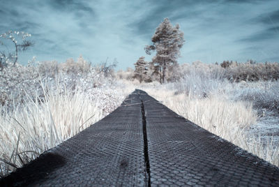 Boardwalk amidst grassy field against cloudy sky