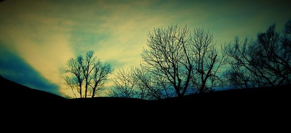 Low angle view of silhouette tree against sky