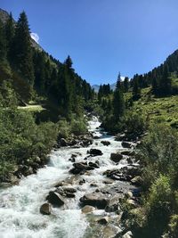 Stream flowing through rocks in forest against sky