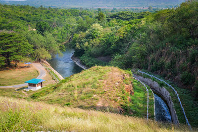 High angle view of river amidst trees in forest