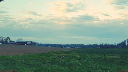 Scenic view of field against sky