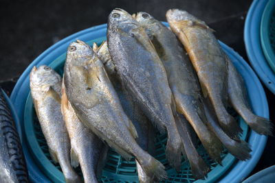 Close-up of fish for sale