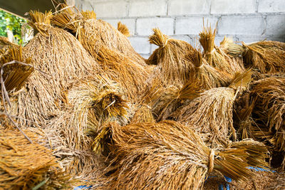 Close-up of hay bales in farm