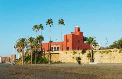 Palm trees and buildings against clear blue sky