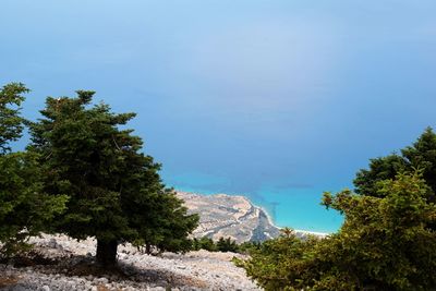 Scenic view of trees and mountains against blue sky