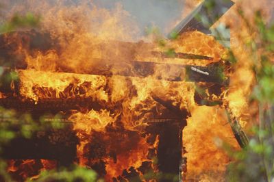 Close-up of fire in autumn