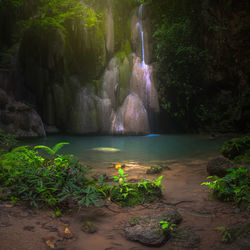 Scenic view of waterfall in forest