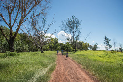 Rear view of people walking on road amidst trees