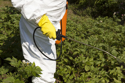 Midsection of man spraying pesticides on plants