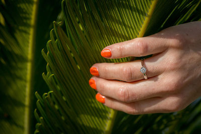 Close-up of woman hand on leaf