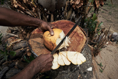 Man cuttiing fresh coconut by machete at local market in seychelles.