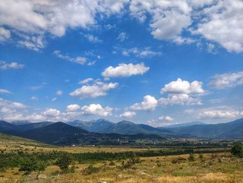 Scenic view of field against sky