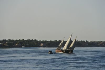 Sailboat sailing on sea against clear sky