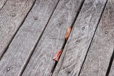 Close-up of wood