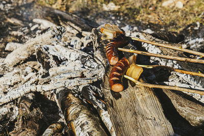 Fried bacon and sausage on stick, slanina,traditional food in romania