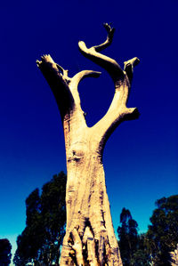 Low angle view of deer on tree trunk against blue sky